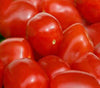 Tomato Roma (20 seeds) High yielding variety used for preserves - Golden Shoppers