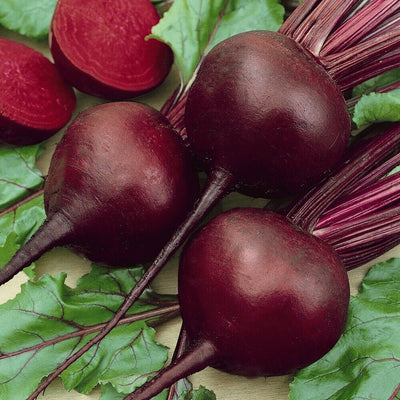 Beet Detroit Dark Red (50 seeds), Deep-red roots are tender and sweet.