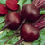 Beet Detroit Dark Red (50 seeds), Deep-red roots are tender and sweet.