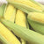 Sweet Corn Early Golden Bantam (15 seeds), Old time favorite ears 6 to 10in tall