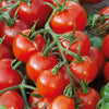 Tomato Large Red Cherry (25 seeds) High yielding varieties