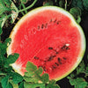 Watermelon Sugar Baby (25 seeds), Very sweet flavor, yield up to 8lbs. - Golden Shoppers