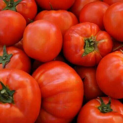 Tomato Beefsteak  (30 seeds) Large plant, spreading medium green broad foliage - Golden Shoppers