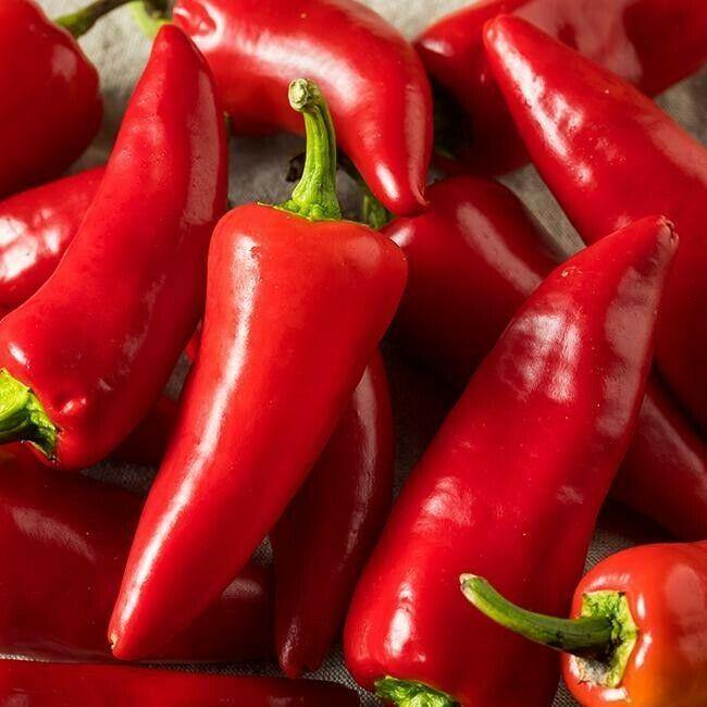 Pepper, Marconi Red, Pimiento rojo Marconi (20 seeds) Sweet Italian Pepper - Golden Shoppers