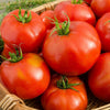 Tomato Beefsteak  (30 seeds) Large plant, spreading medium green broad foliage - Golden Shoppers