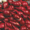Onion Set Red (10 bulbs) Now shipping