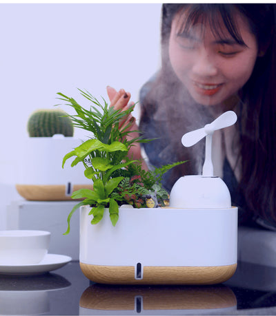 Floating Bonsai Flower Pot Bonsai Creative Humidifier
