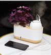 Floating Bonsai Flower Pot Bonsai Creative Humidifier